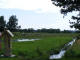 JN-Mazowsze-Kurpie-Siarcza Łąka: współczesna figura Jana N. przy drodze i strumyku (2009-07-09)