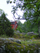 Szwecja-Kapellskär: wiatrak w rezerwacie (2008-08-10)