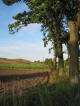 Kaszuby-Klon�wka: ziemia (fot: R.K., 13-9-2004)