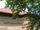 Rumunia-Bukowina-Seret: cerkiew Trójcy Świętej, XIV wiek (2008-06-25)